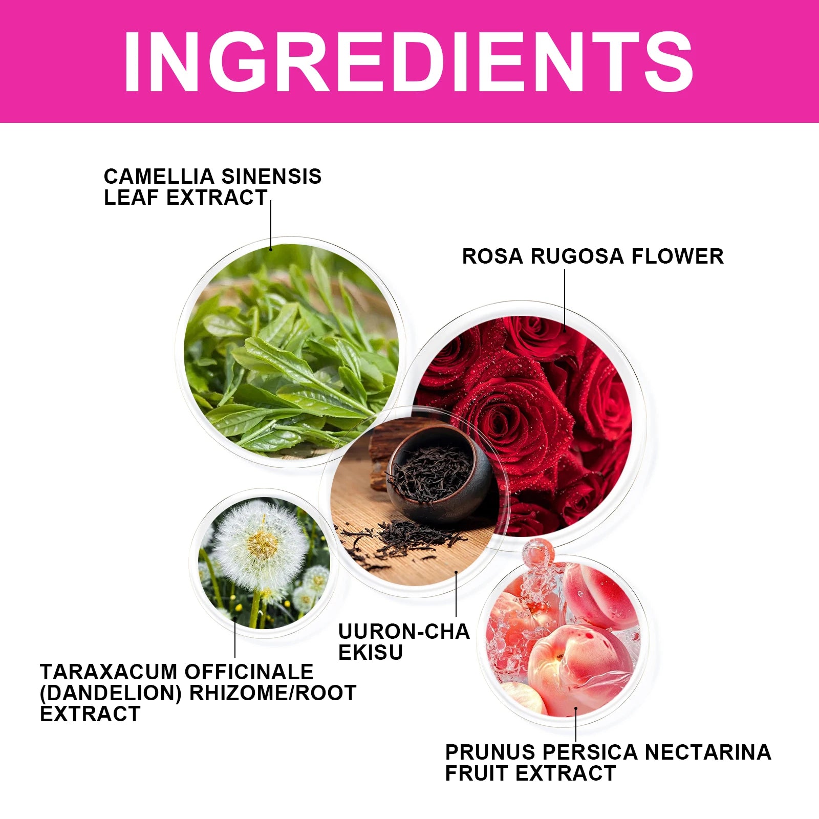 Natural Tea Detox Green Tea Body Shaping Wellness Metabolism Support Herbal Body care Drink