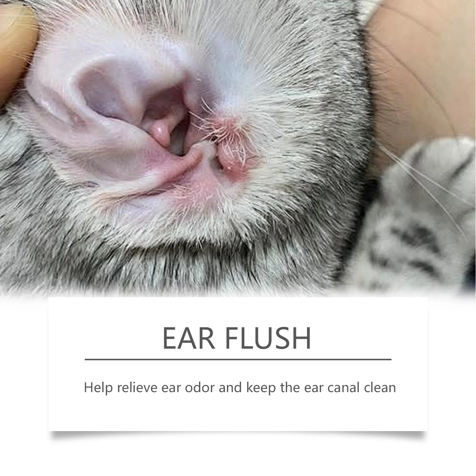 Cat Dog Ear Cleanser Relieve Discomfort Remove Ear Mite Dirt for Odor Control Itch Relief Pet Ear Care Cleaning Products 100ml